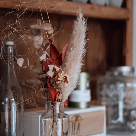 Surf D'hotes 比亚里茨