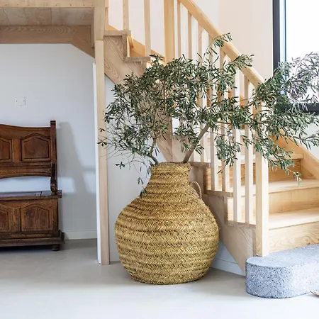 Surf D'hotes Bed and Breakfast Μπιαρίτζ