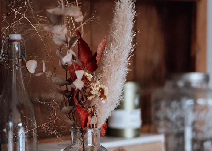 Surf D'hotes Biarritz